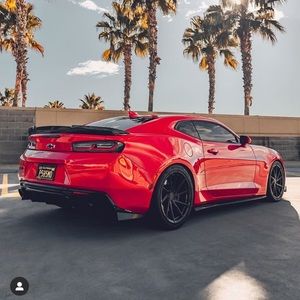 Meet your Posher, Wilson